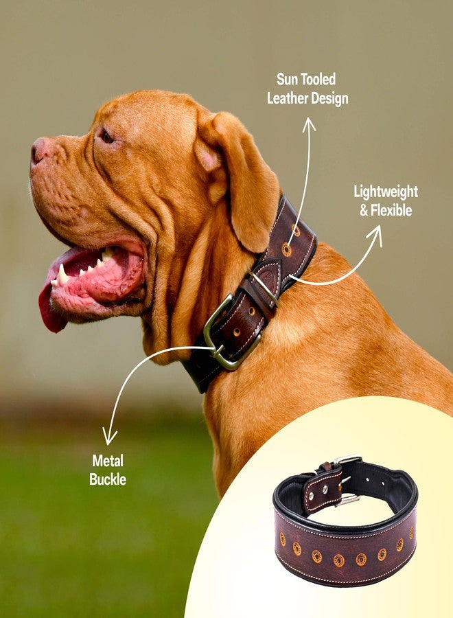 ADIL'S Adil’S Leather Sun Tooled Dog Collar, 2.25inch Width Handcrafted Heavy Duty Dog Collar Dogs with Strong Metal Buckle & D-Ring, Size:XL, Brown - Image 5